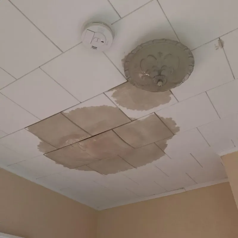Ceiling Water Damage Repair in Vinton County, OH