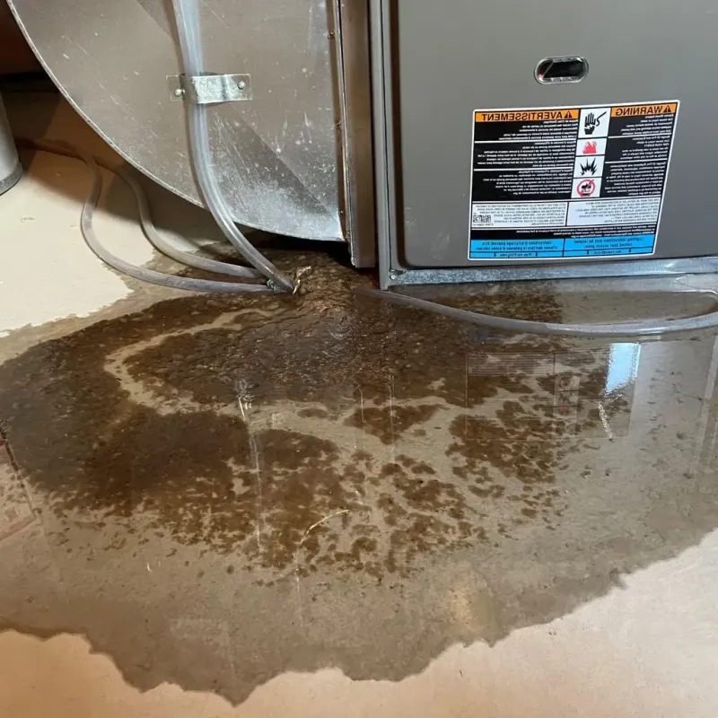 Pipe Burst and Leak Restoration in Vinton County, OH