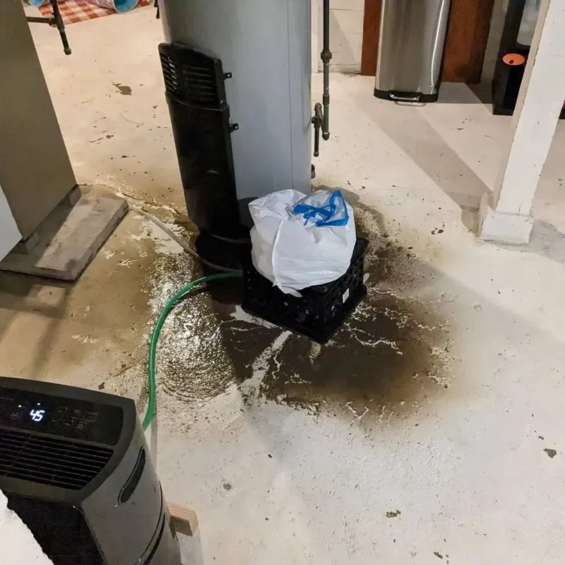 Sewage Backup Cleanup Service in Vinton County, OH